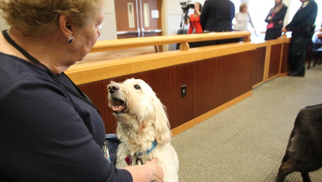 JayL Solomon, left, and therapy dog Kadie, a goldendoodle, make an appearance at a press conference Tuesday in Judge Robert Branning's courtroom. Kadie will help kids deal with dependency court proceedings. 
