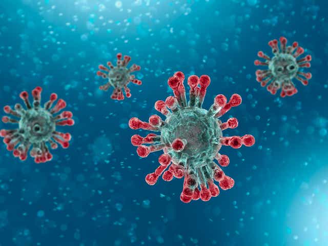 Pepcid To Treat Covid 19 The Theory Is Trending Online But Unproven