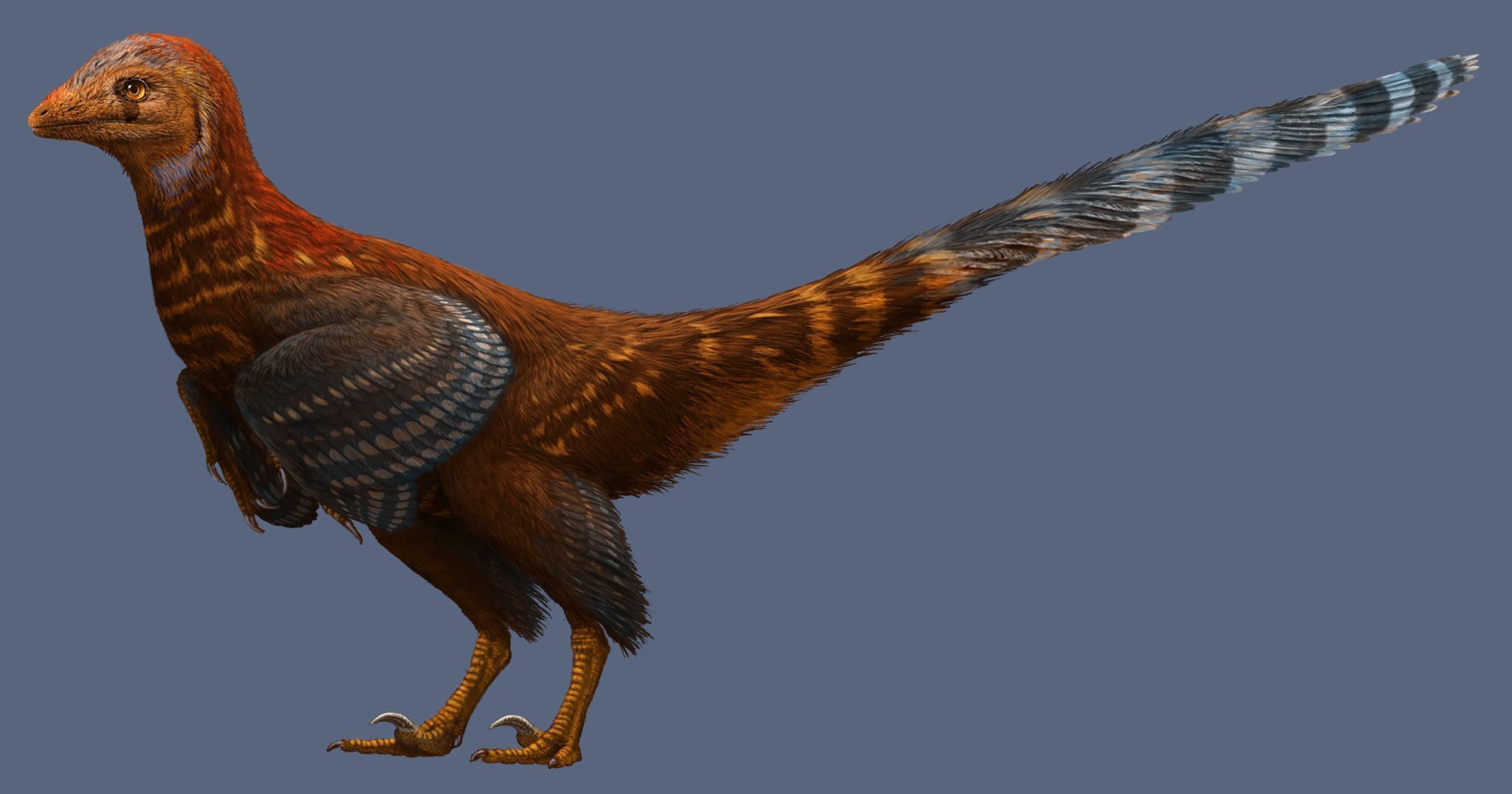 feathered dinosaurs list