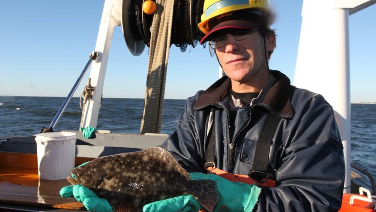 A sampling of fish species in Long Island Sound