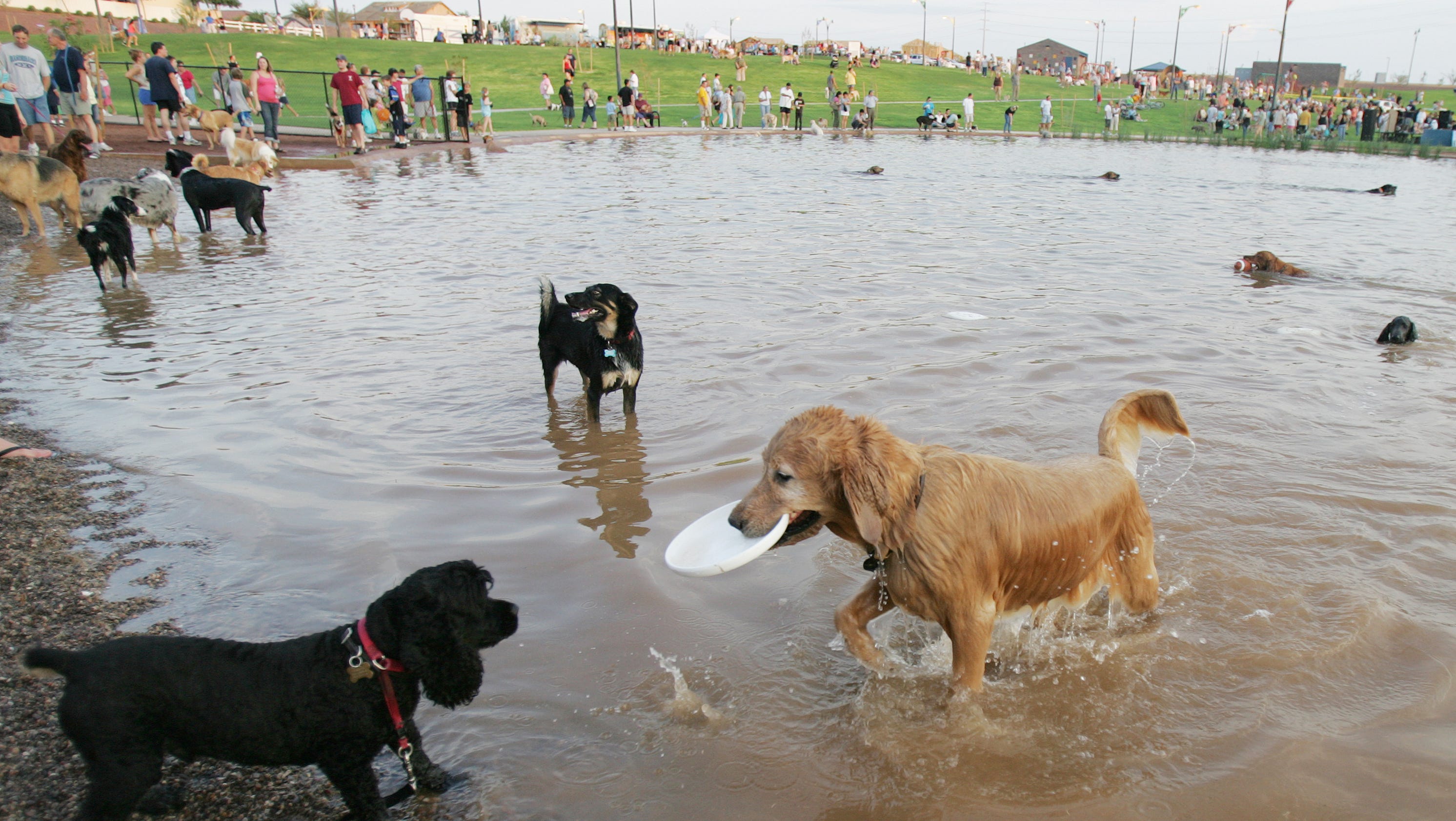 Cosmo Dog Park Cosmo Dog Park