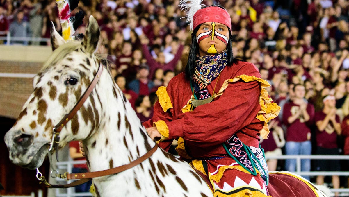 My Complicated Relationship With Our School S Mascot