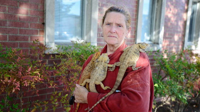 Sherrie Baldwin holds three of her bearded dragons, including Del Sol, the one that she saved using CPR. 






