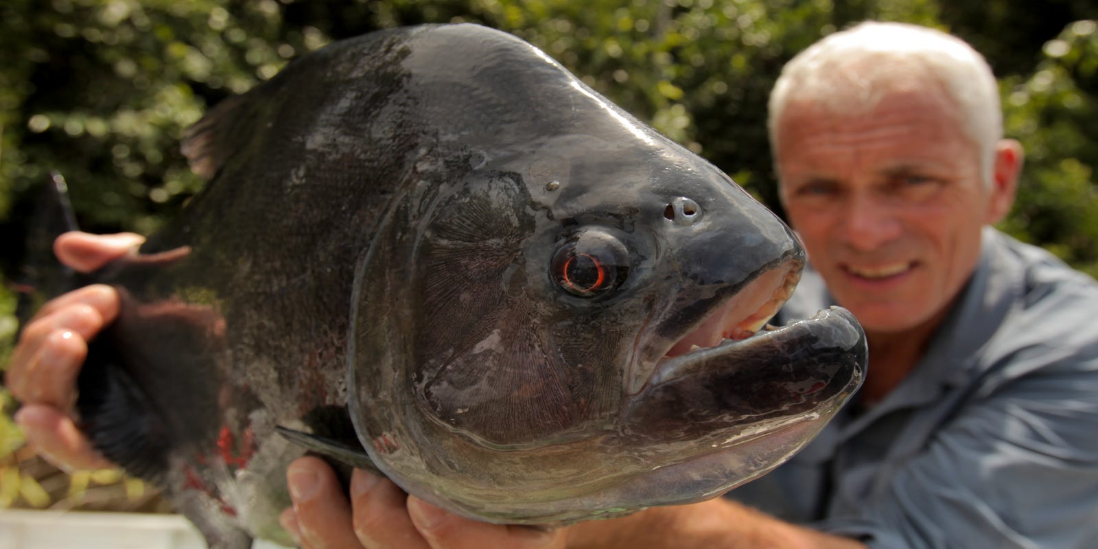 River Monsters Host Jeremy Wade Goes With The Flow River Monsters Host Jeremy Wade Goes With The Flow