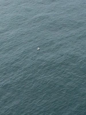 Debris from the 45-foot pleasure yacht Sea Crest is spotted on the water the morning after the vessel collided with an unknown object and sank 9 miles off Leadbetter Point State Park, Wash., July 28, 2017.