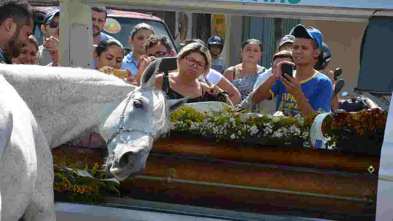 Image result for wagner lima horse at funeral