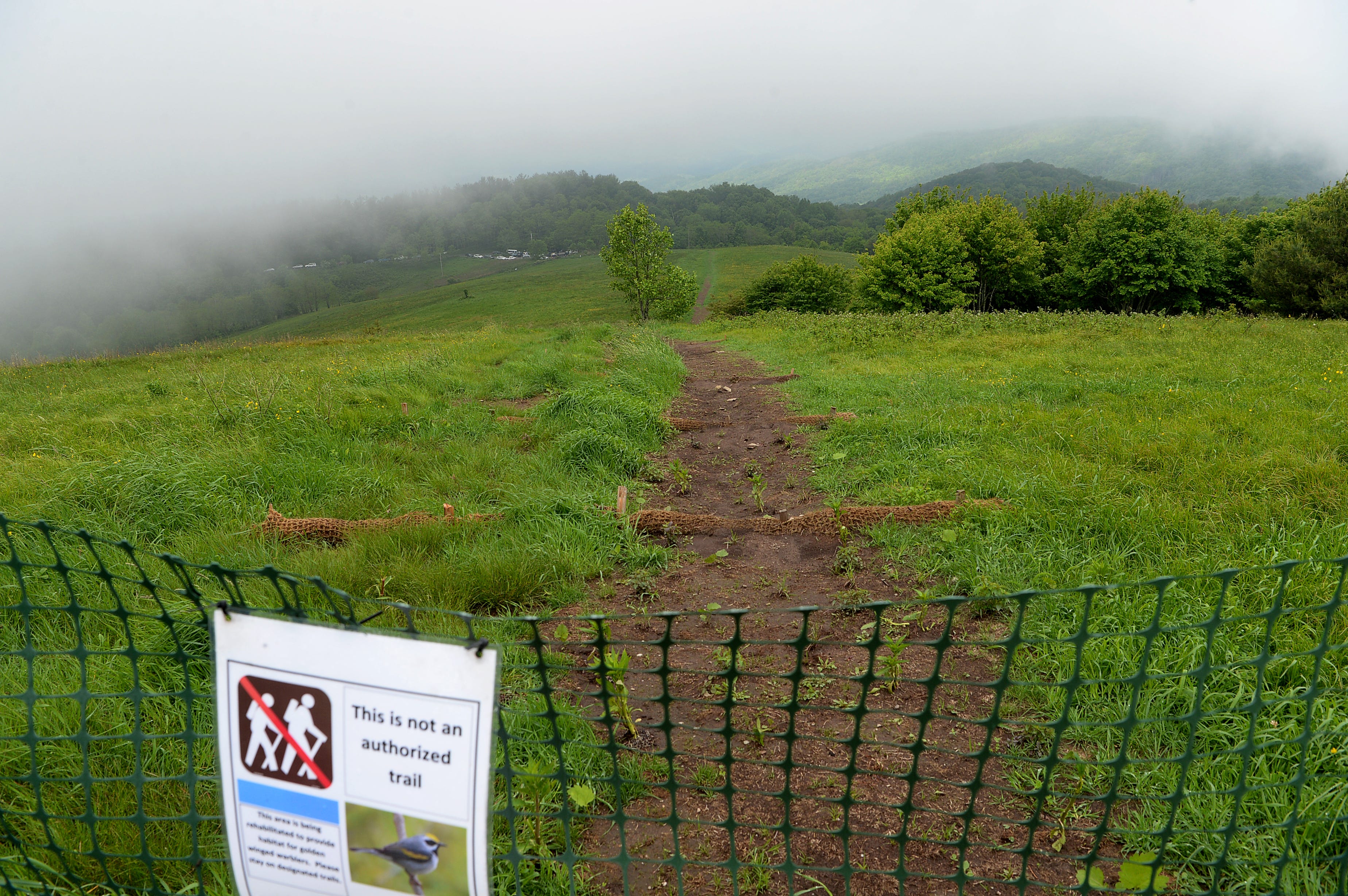 camping near max patch