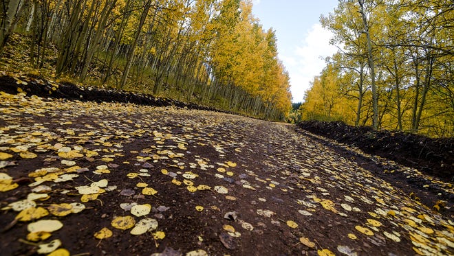 Fall colors reach their peak near Cripple Creek.