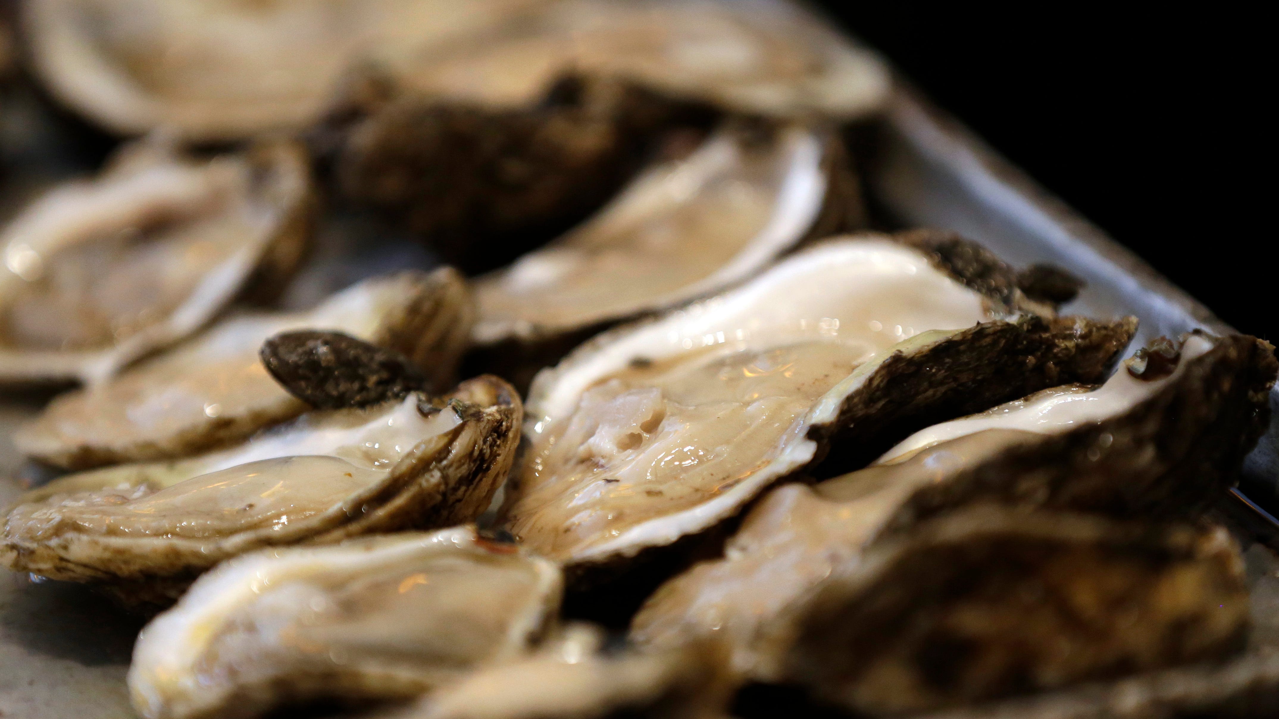 Project aims to boost Louisiana oyster safety and profits