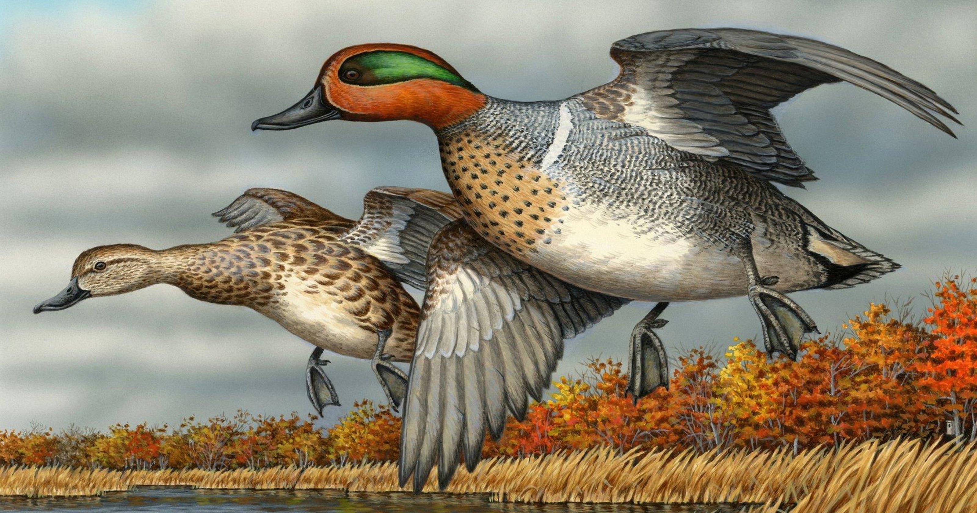 This Michigan Duck Hunting Map Will Change Your Season (2024 25) - osyw3sc