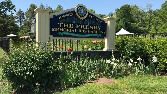 The Presby Memorial Iris Gardens on Upper Mountain Avenue in Montclair were established in 1927.