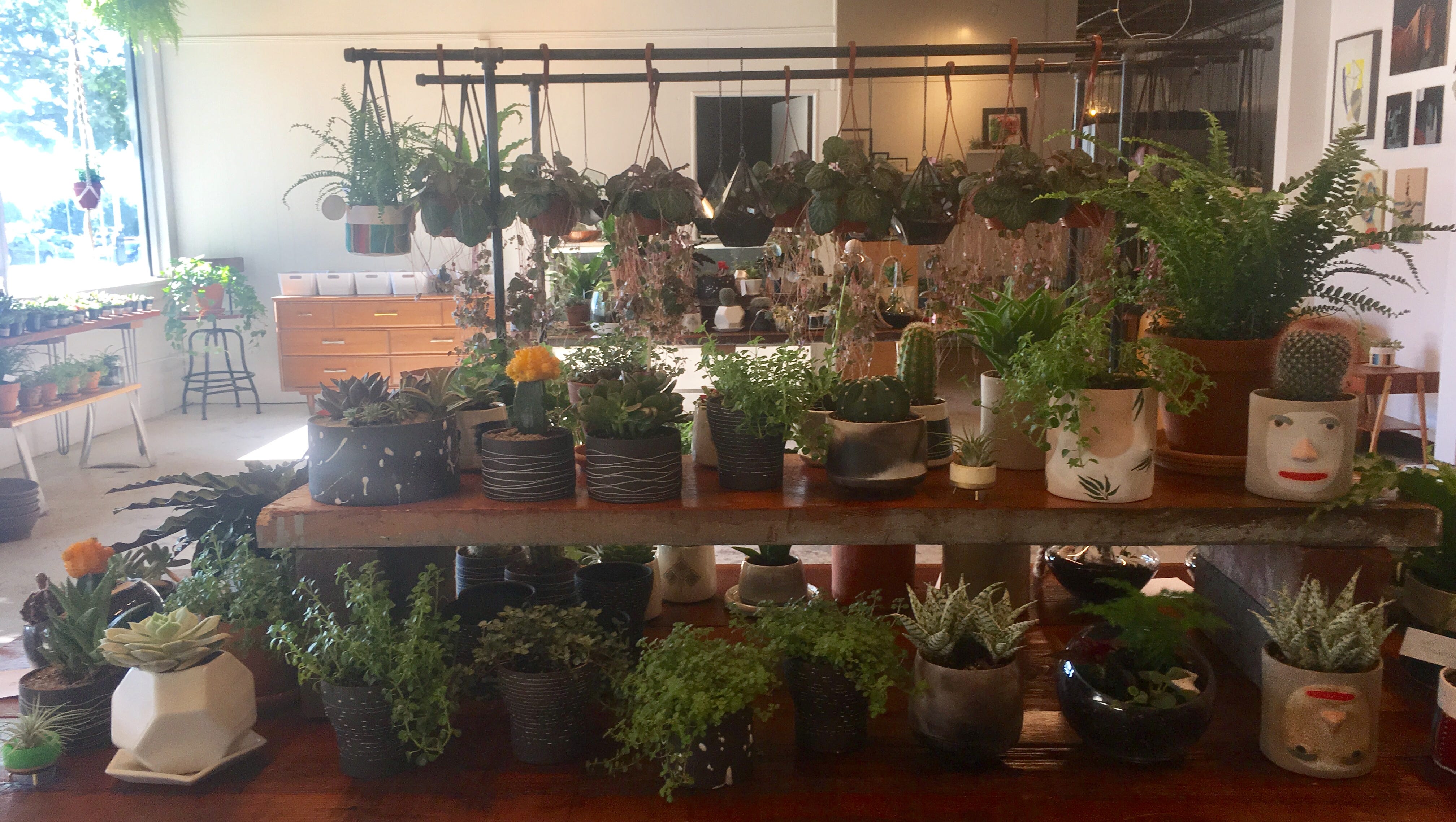 A store selling terrariums, plants and art has opened in downtown Des Moines.