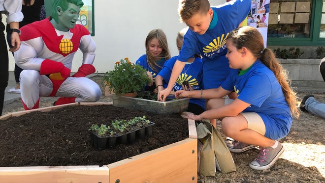 Students work with "Captain Planet" to plant vegetables Friday in a garden at Tierra Linda School in Camarillo. The students won the garden after they collected over 12,000 pounds of food last year that was donated to help feed hungry people.