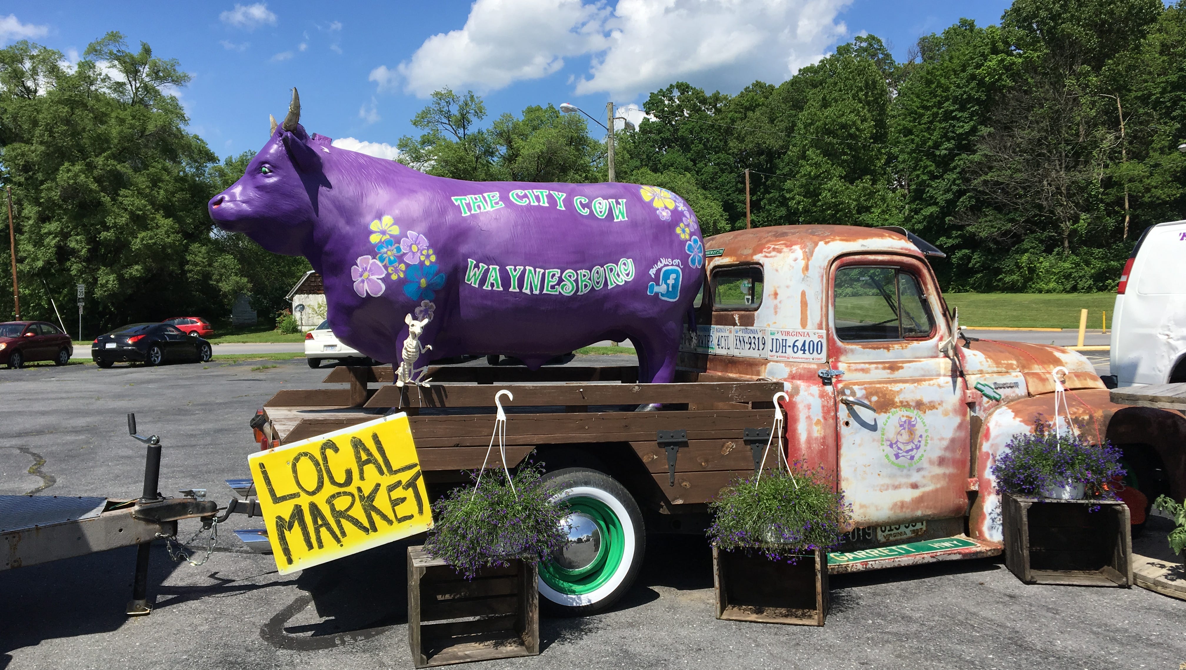 Purple Cow opens city spot in Waynesboro
