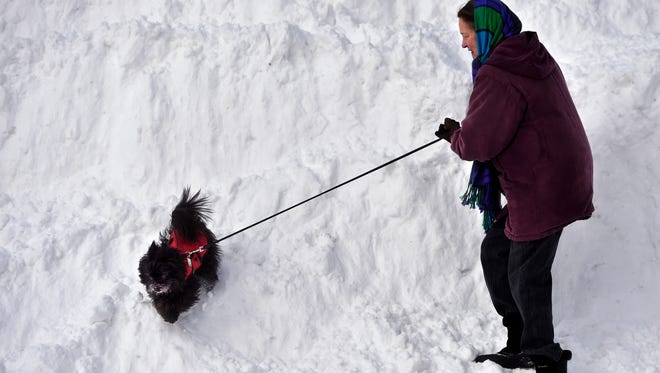 Janet McGee hangs on as her cairin terrier mix Gebe plays on a snow mound during their morning wallk on Thursday.  Wednesday's storm dumped 5 inches of new snow on Great Falls.