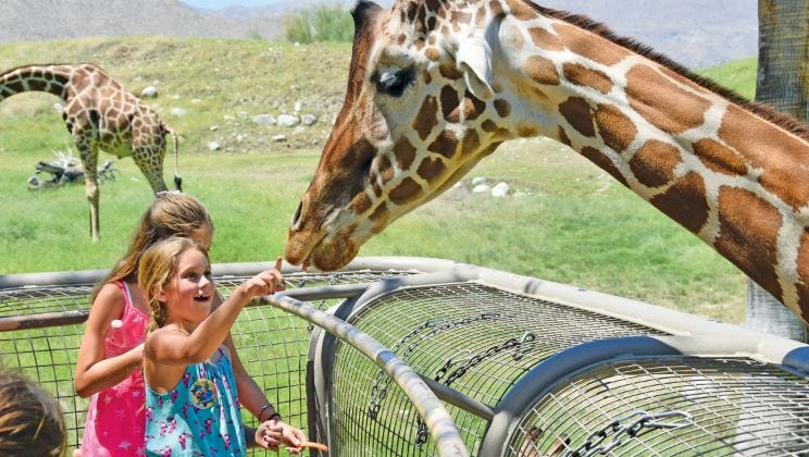 Best Of The Valley 2018 Reader S Picks