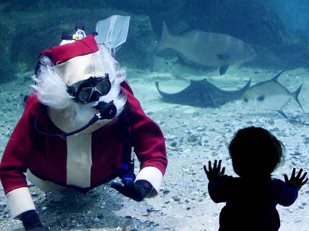 An actor dressed as Santa Claus swims in front of a child at the Sea Life Melbourne Aquarium in Australia.