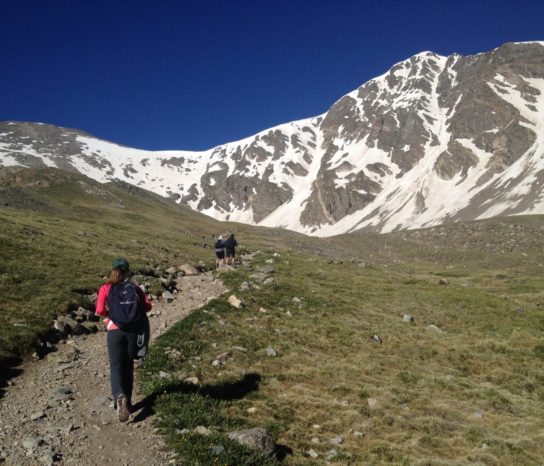 Rattlesnake bites Fort Collins groom during photoshoot