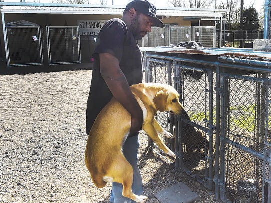 This young female dog will have an overnight stay at