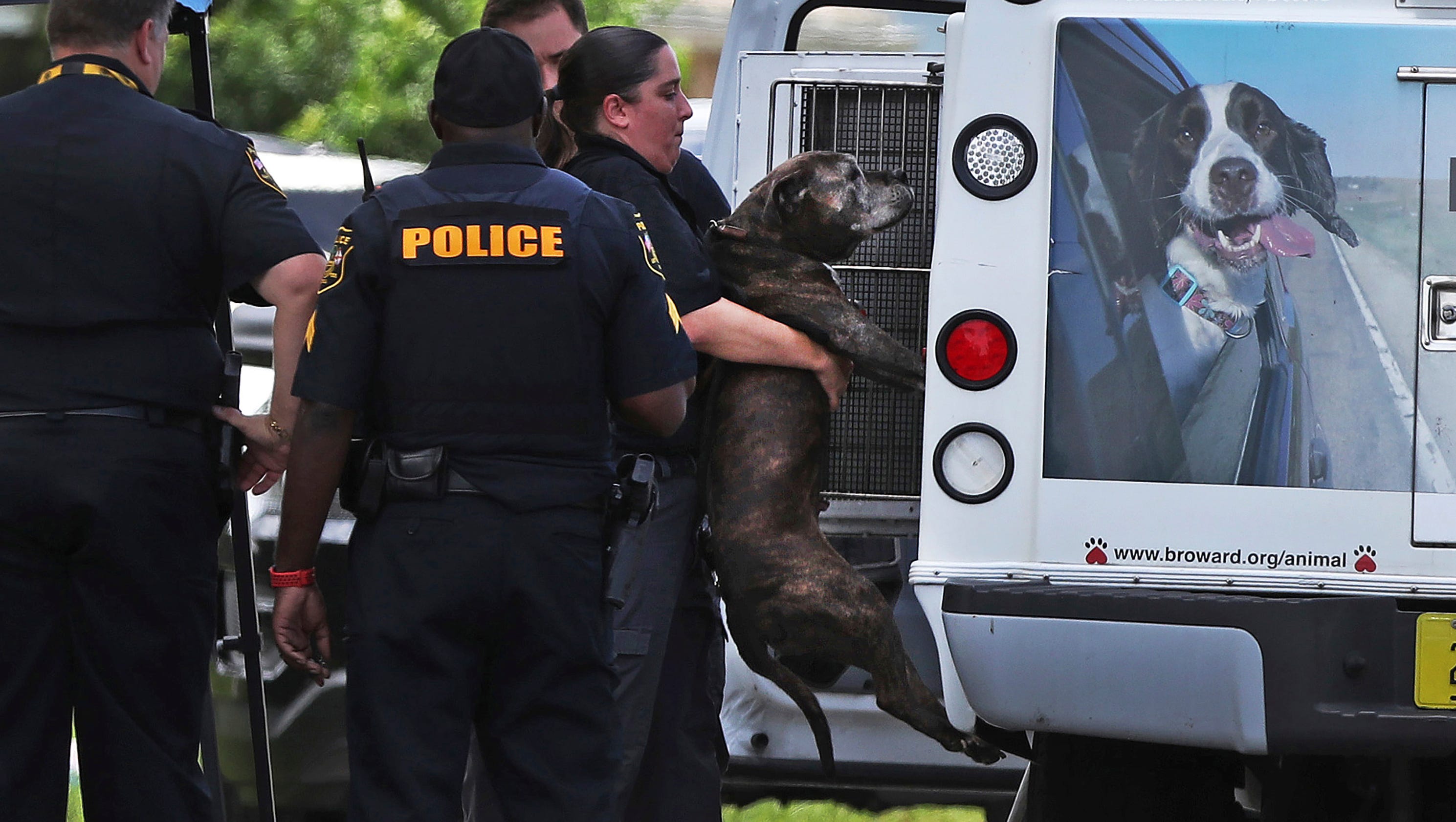 Pet Pit Bull Attacks And Kills 8 Month Old Baby Girl In