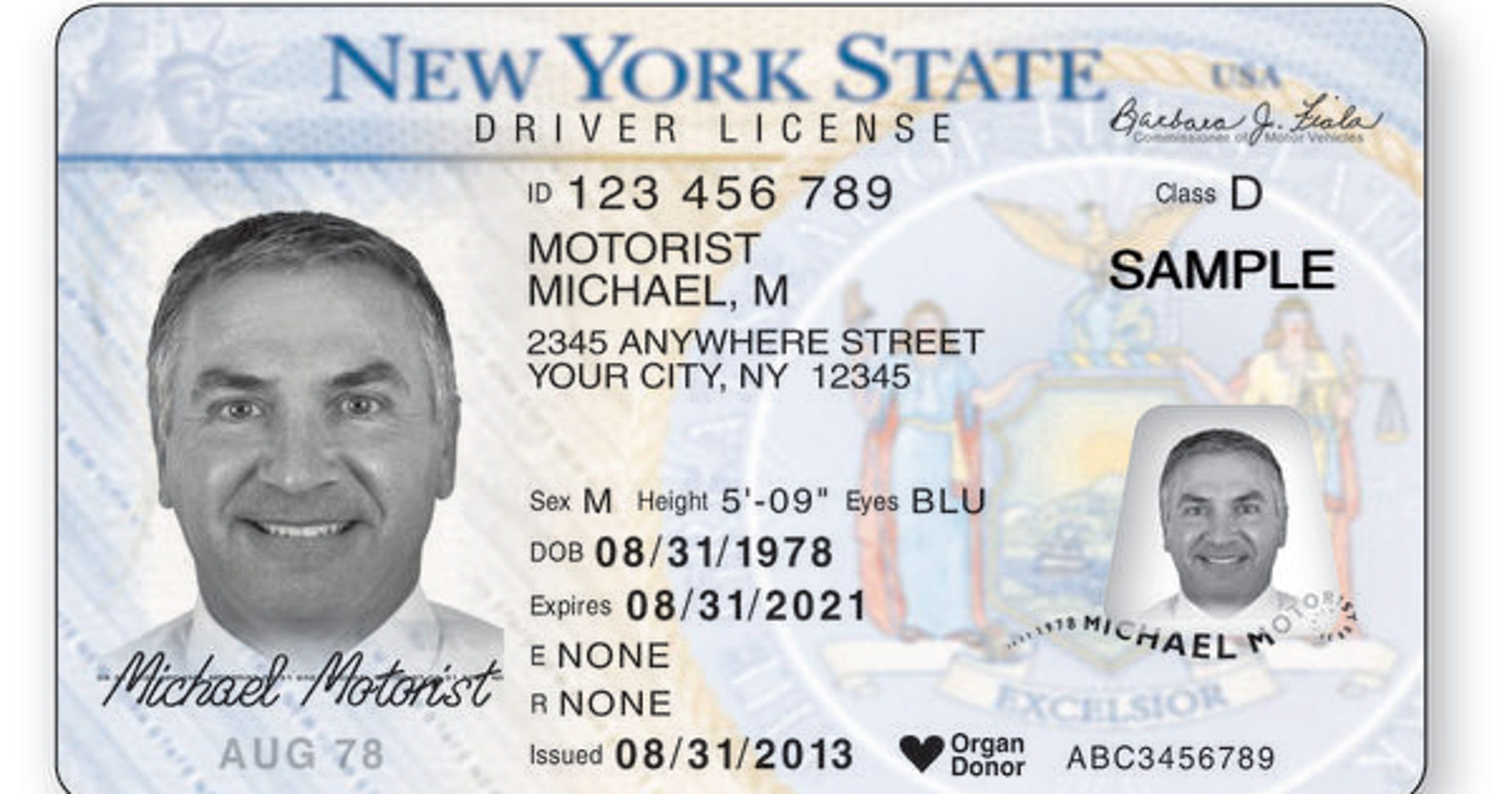 New York should approve driver's licenses for undocumented ...