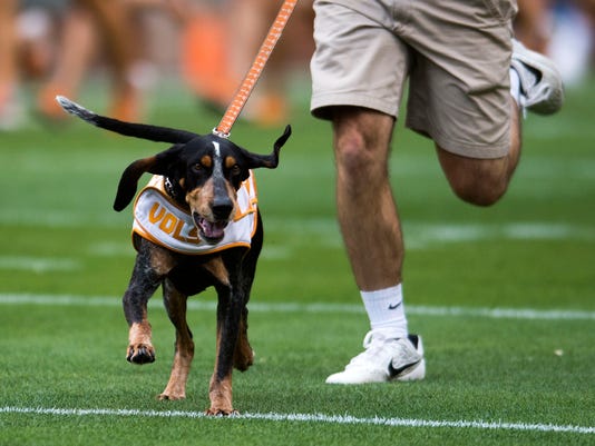 Tennessee Vols Football Live Score Updates Tv And Radio Information