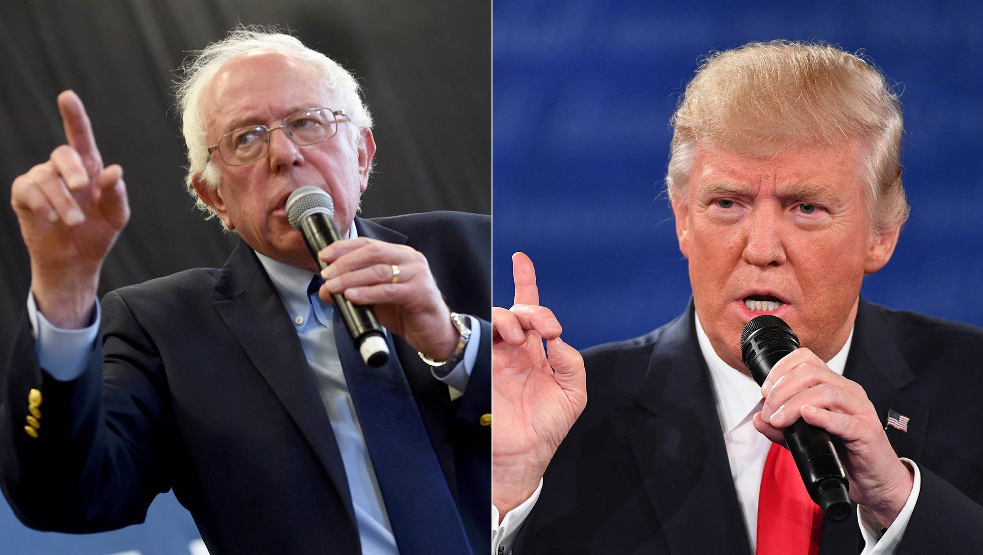 strimmel reaktion At passe Would Bernie Sanders have defeated Donald Trump?