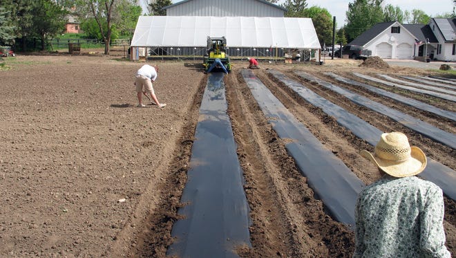 In this May 28, 2013 photo provided by Agriburbia LLB, workers prepare new growing beds at Table Mountain Farm near Golden, Colo. When mature, the flowers and edibles will be sold directly from the field for processing or to be eaten raw by people who live nearby.