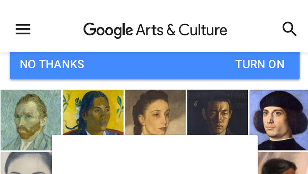 Google's selfie feature in the Arts and Culture...