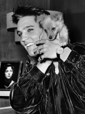After being released from jail following his arrest for a fight at a downtown service station Oct. 18, 1956, Elvis went home to 1034 Audubon to relax and play with his new pet. A week later the service station owner, Clarence Harwell, publicly apologized to Presley for the incident. Presley was cleared in city court of misconduct, but two station attendants with whom he tangled briefly drew fines for assault and battery.