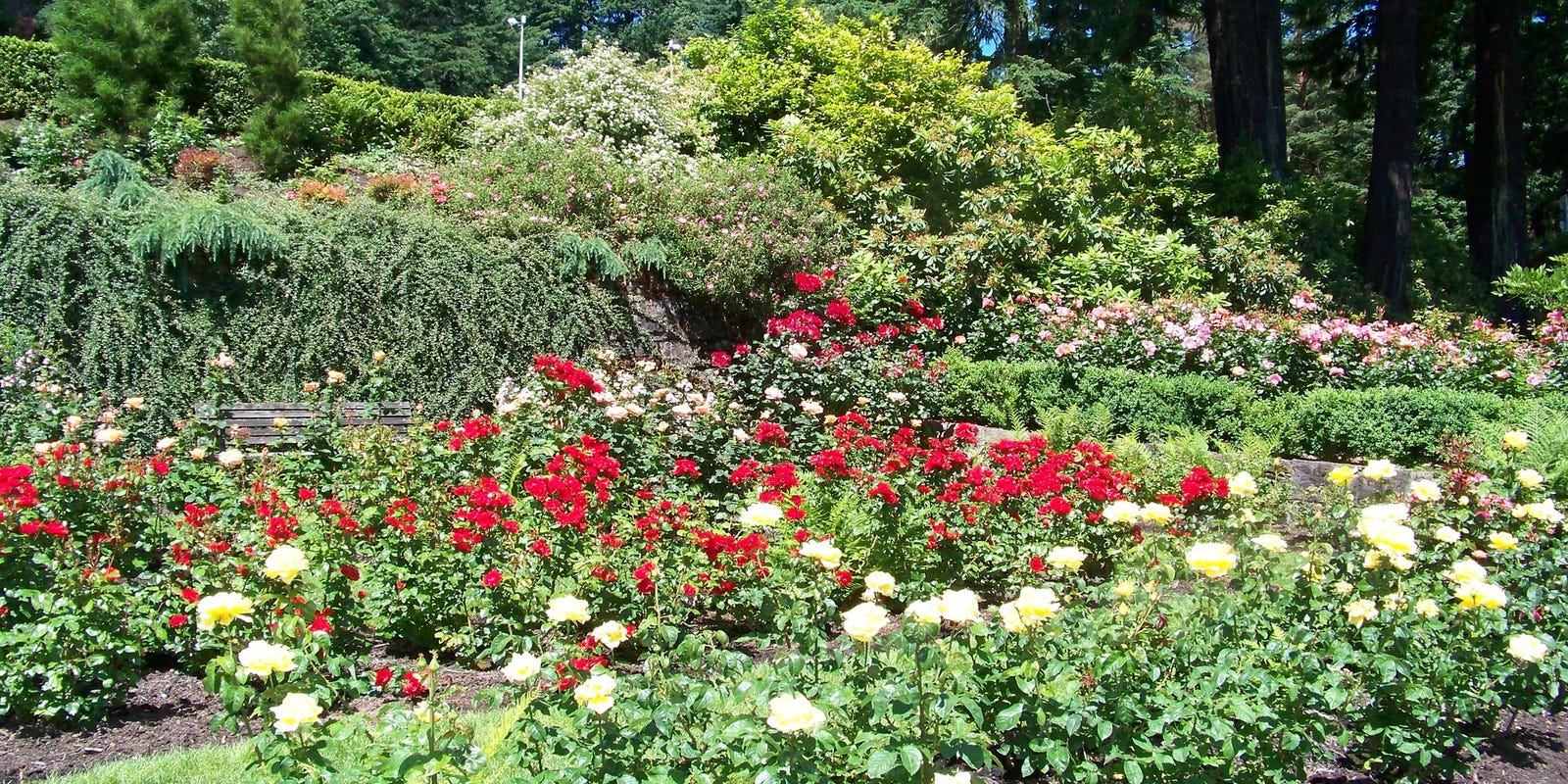 Seattle To San Diego Coastal Road Trip