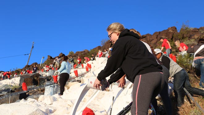 Dixie State University students, alumni and administration participate in the annual whitewashing of the "D" tradition Saturday in St. George.