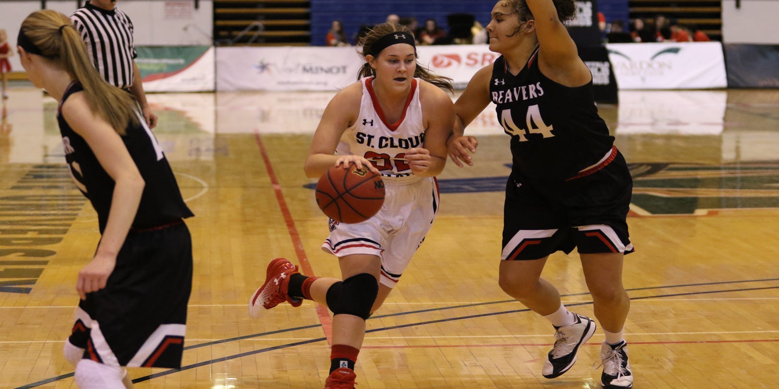 Macdonald Scsu Sink Minot State