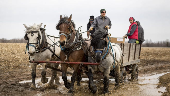 Jason Julian, a subcontractor for U.S. Cellular, uses a team of horses to transport supplies to a U.S. Cellular phone tower through muddy, uneven terrain in late March in Portage County.