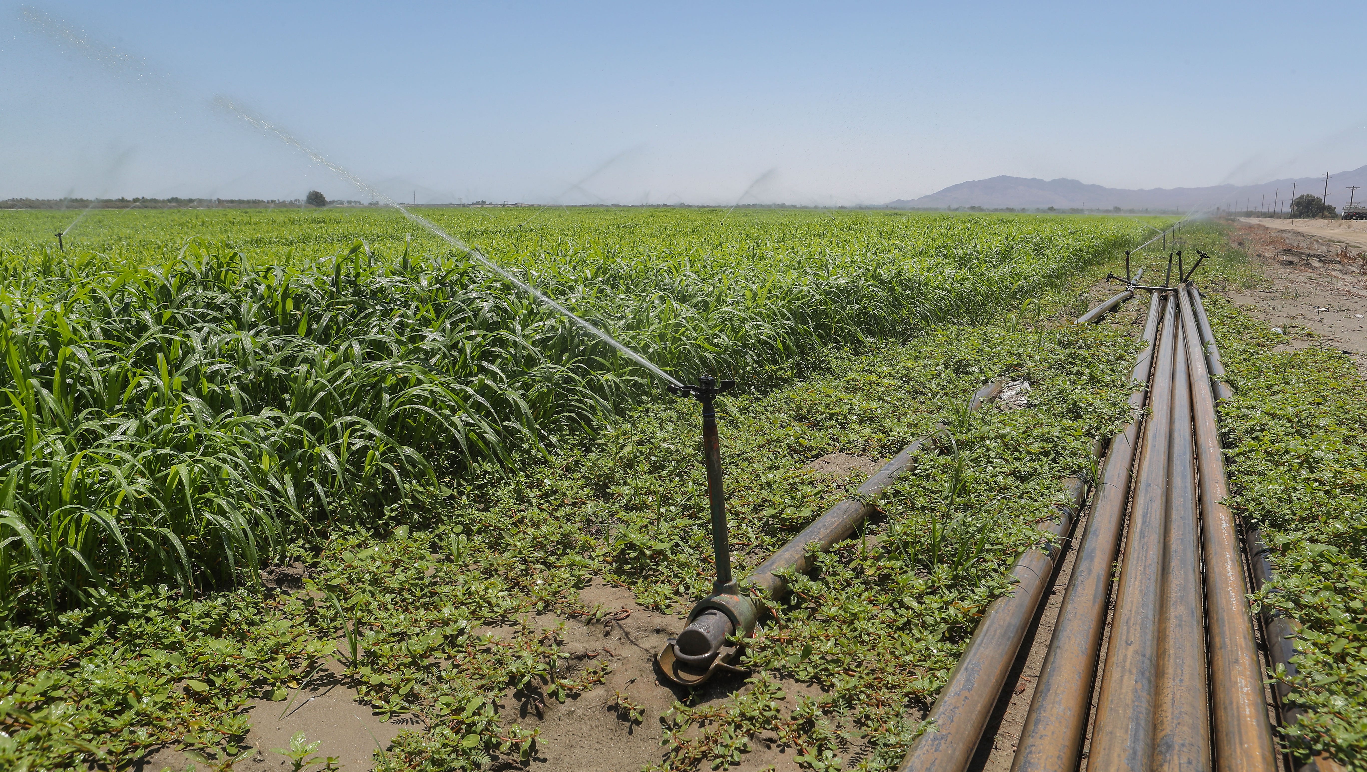 Desert Cities Are Saving Water Farms And Golf Courses Not So Much