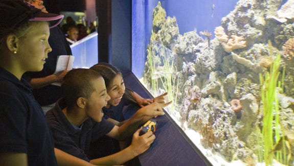 A guide to the Wildlife World Zoo, Aquarium and Safari Park ...