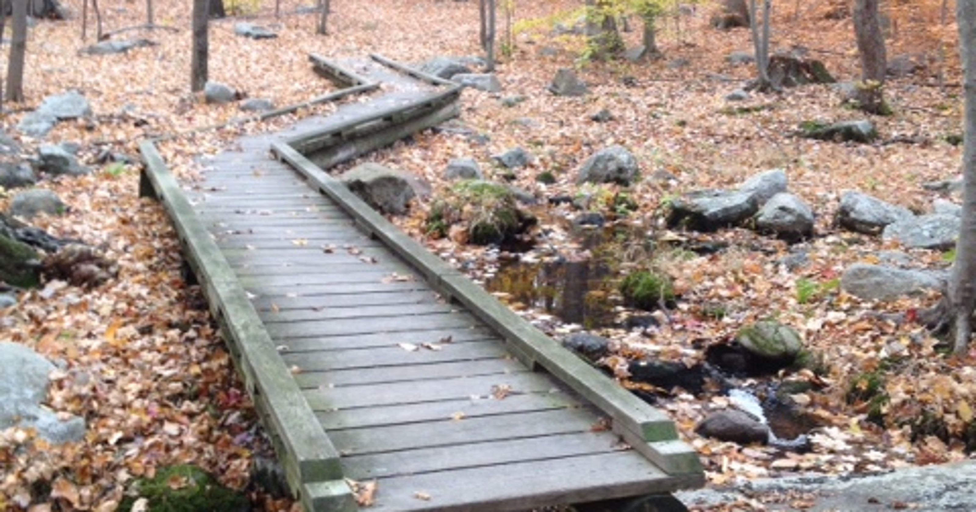 1 Thing We Love About Morris County Hiking Pyramid Mountain