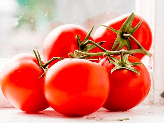 Tomatoes are one of the most popular gardeners in the backyard.