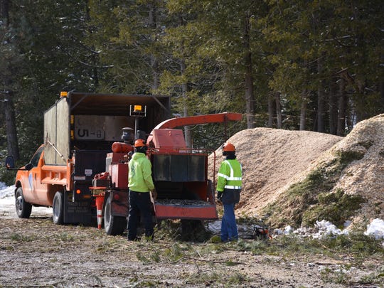 Residents Angry Trees Removed In Fish Creek Park