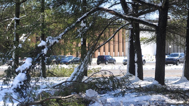 Downed tree limbs in Vineland following Wednesday’s storm.