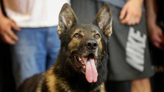Lor, a K-9 with the Greene County Sheriff's Office, posed for photos during the Coffee with a Cop event at Battlefield Mall on Saturday, May 19, 2018.