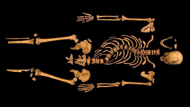 The remains  found underneath a car park last September at the Grey Friars excavation in Leicester, which have been declared Monday  "beyond reasonable doubt" to be the long lost remains of England's King Richard III, missing for 500 years. A