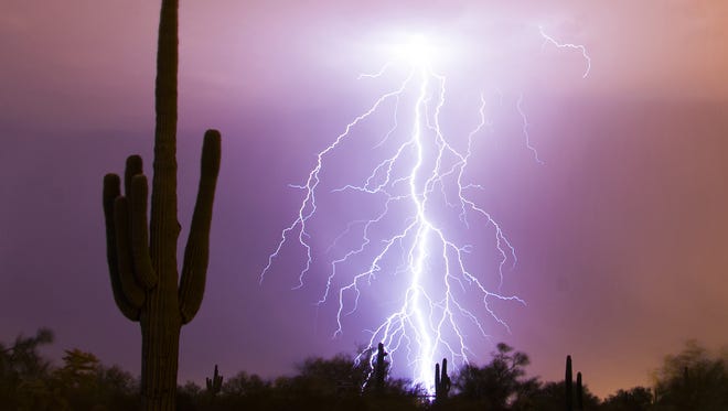 Lightning strikes near saguaros during a storm in east Mesa July 26, 2014.