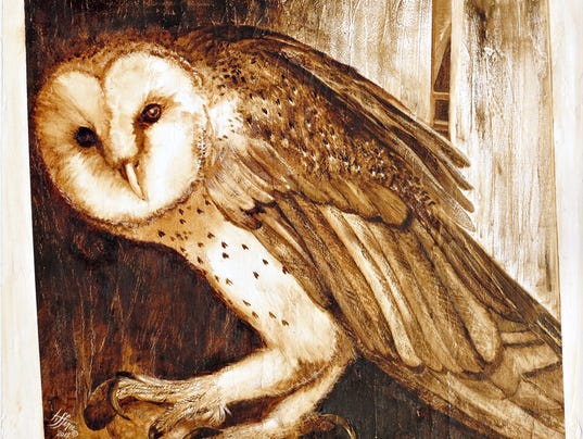 Owl interrupted - Tiffanie Owen