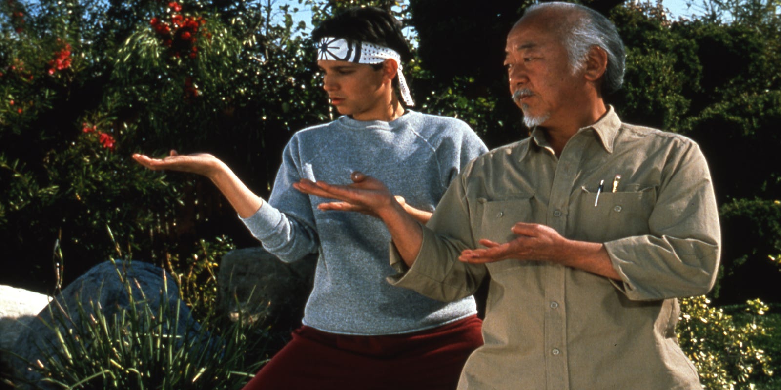 Mr. Miyagi and the quest for the perfect mentor