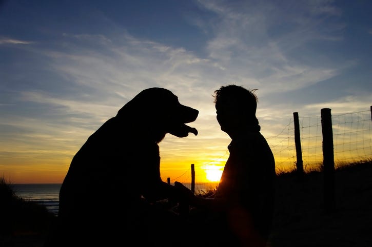 funeral home for dogs