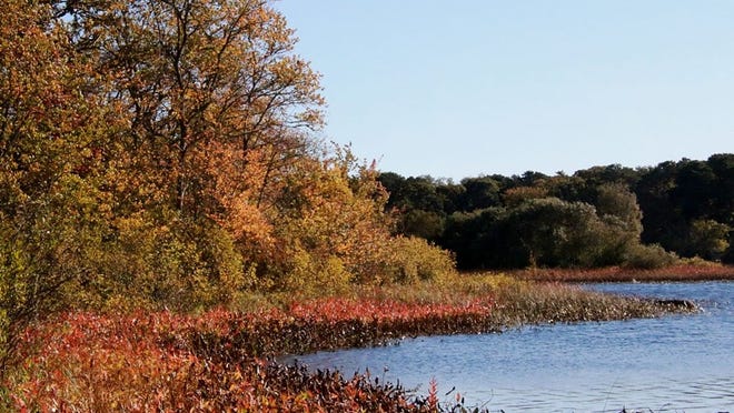 Fall colors arrive at the shores of Pilgrim Lake, Orleans.