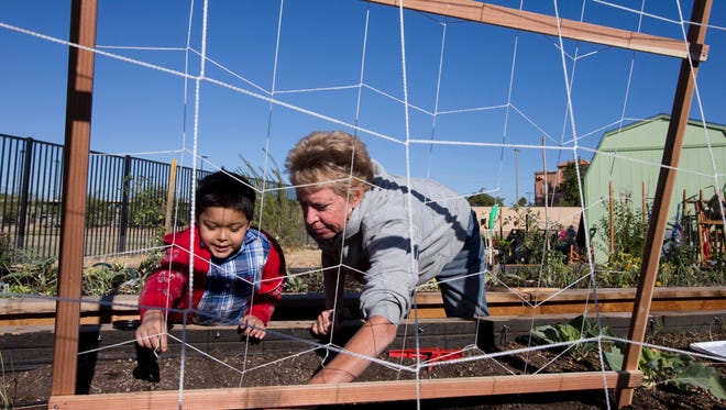 Carlos Loya , 5 , learns gardening from Colleen Wagner at Surprise Community Garden at Lizard RunHellen & John M. Jacobs Independent Plaza on Nov. 12, 2012.  Photo by Nick Oza /The Republic