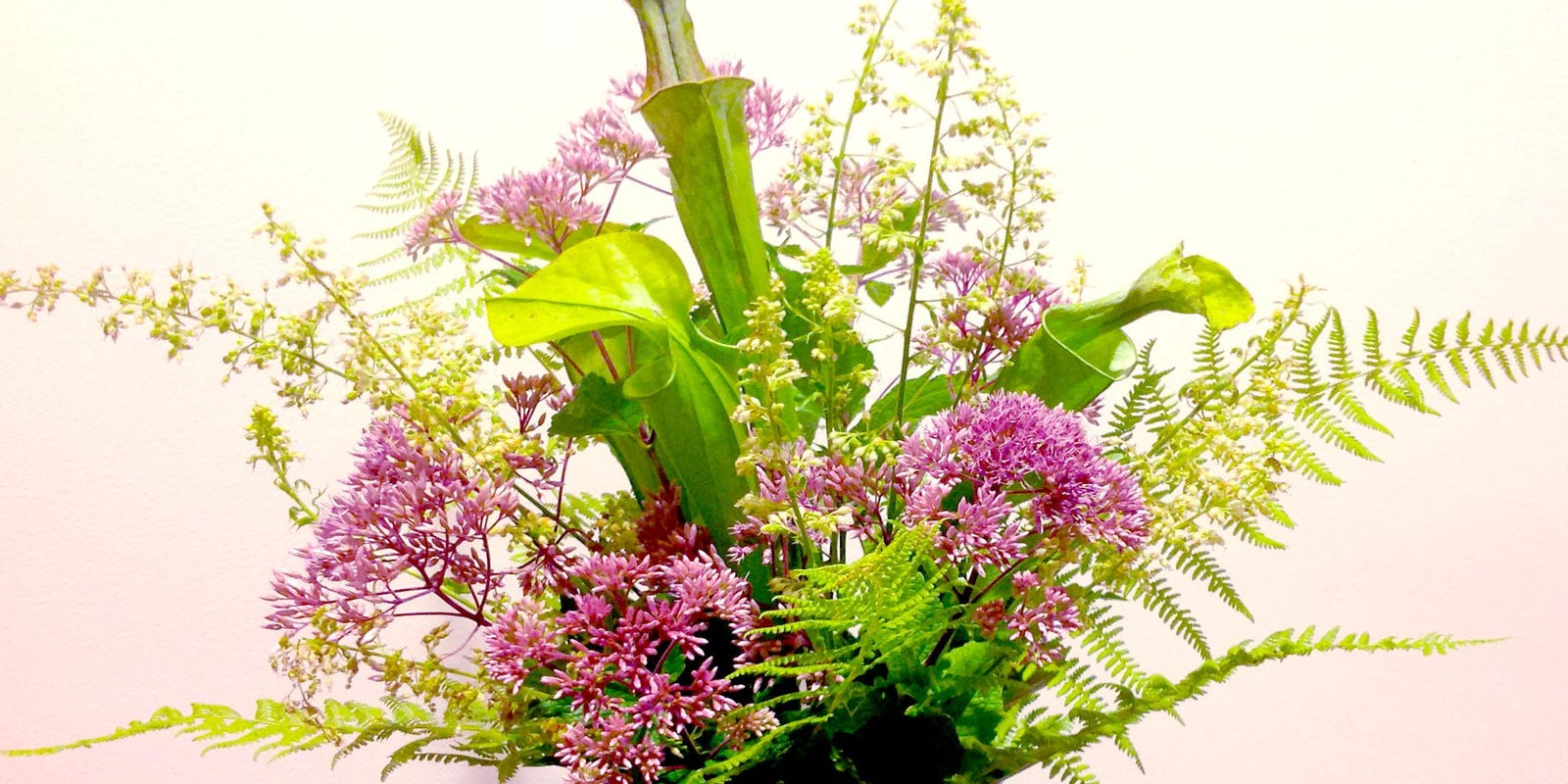 Floral Design Basics Principles And Elements Crossword It comes with a helpbox with words needed in the crossword. floral design basics principles and