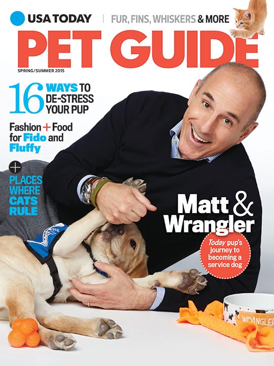Do S And Don Ts Of Leaving Dogs On Their Own
